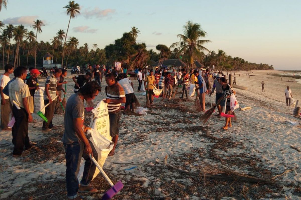 About Rote Island